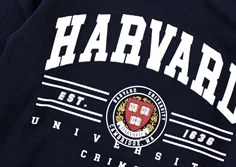 Name It sweatshirt dark sapphire harvard university